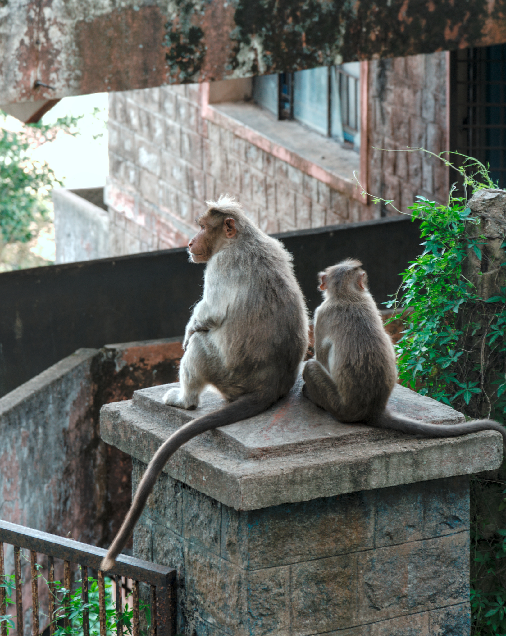 Trip to India
